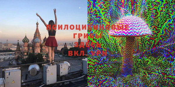ешки Абинск