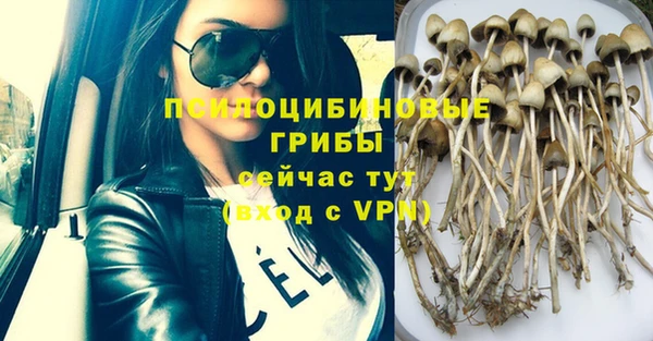 ешки Абинск
